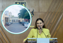 Nace Distrito Mejorada, el nuevo corredor cultural de Mérida