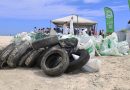 Retiran 816 kilos de basura de playas de Progreso