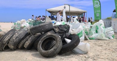 Retiran 816 kilos de basura de playas de Progreso