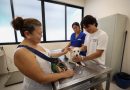 Jornada de esterilización beneficia a 80 perros y gatos en Mérida