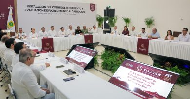 Yucatán refuerza vigilancia por riesgo de marea roja