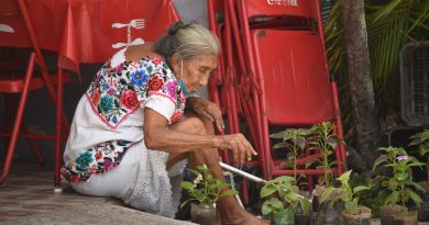Seis de cada 10 mujeres ocupadas trabajan en la informalidad en Yucatán