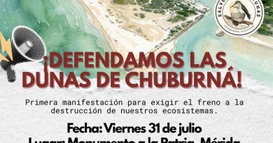 Convocan a movilización para defender las dunas de Chuburná Puerto