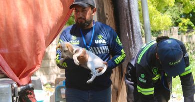 Se han atendido más de mil 300 denuncias por maltrato animal