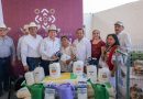 Invierte Renacimiento Maya 11 millones 760 mil pesos en beneficio de familias productoras del sur de Yucatán