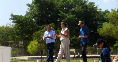 Ciudad Caucel tendrá el primer corredor verde con jardines de lluvia