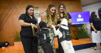 Mérida atenderá 100 reportes de maltrato animal con operativo especial