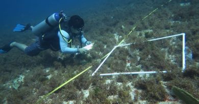 Impulsan red comunitaria contra las mareas rojas en Yucatán