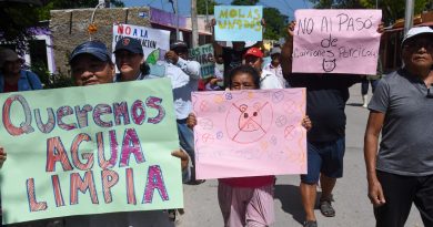 La ONU pone a Yucatán ante una emergencia sanitaria y ambiental por las granjas porcinas