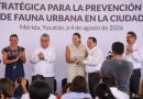 Cecilia Patrón señaló que mantendrá coordinación con el Gobierno estatal