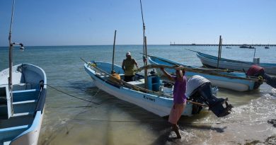 Pescador yucateco respeta reglas de captura; foráneos depredan pulpo, advierten