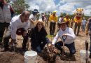 Reforesta Renacimiento Maya 292 hectáreas con más de 64 mil plantas