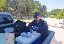 Marina inicia muestreos de calidad del agua en la franja costera de Yucatán
