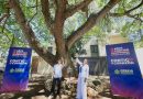 Mérida alcanza 200 árboles protegidos como Patrimonio Verde