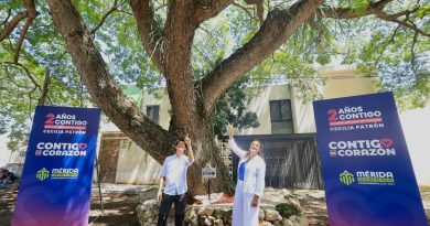 Mérida alcanza 200 árboles protegidos como Patrimonio Verde