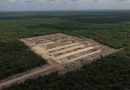 Tragedia ambiental en Kinchil: Crío tira excretas a cielo abierto y levanta una granja pese a clausura de Profepa