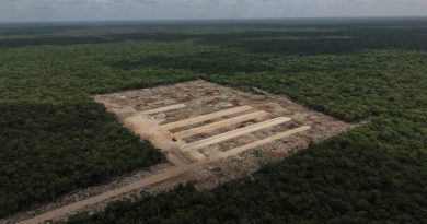 Tragedia ambiental en Kinchil: Crío tira excretas a cielo abierto y levanta una granja pese a clausura de Profepa