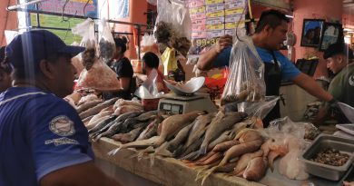 Tras casi 30 años, renuevan el área de pescados y mariscos del Lucas de Gálvez