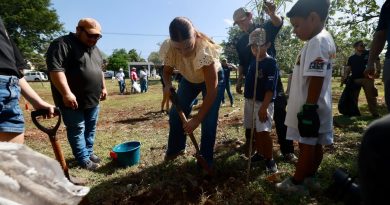 Mérida supera la meta de la Cruzada Forestal 2026