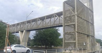 En 10 días arrancará rehabilitación de dos puentes del Periférico