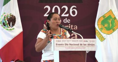 “Si no hay territorio, ¿dónde van a desarrollar la meliponicultura?”: productora de miel