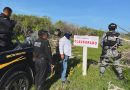 Clausuran 17 polígonos por devastación en la Reserva de Ría Celestún