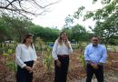 Cecilia Patrón entrega primer jardín de lluvia en Ciudad Caucel