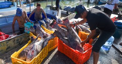Súper Niño amenaza a la pesca y la seguridad alimentaria de México