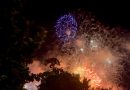 Loros de la Plaza Grande, bombardeados otra vez con pirotecnia