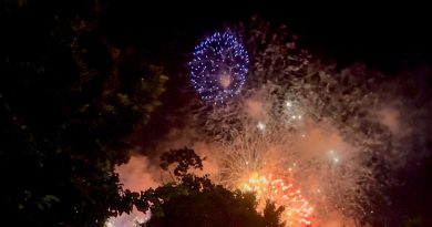 Loros de la Plaza Grande, bombardeados otra vez con pirotecnia