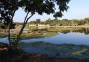 Ameba en Plaza La Isla no implica riesgo en todos los cuerpos de agua de Mérida