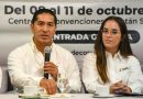 Yucatán atrae inversión maderera, pero los fletes de retorno encarecen el traslado