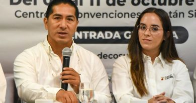 Yucatán atrae inversión maderera, pero los fletes de retorno encarecen el traslado