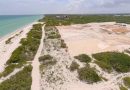 Conceden suspensión definitiva contra el proyecto Dunas de Chuburná