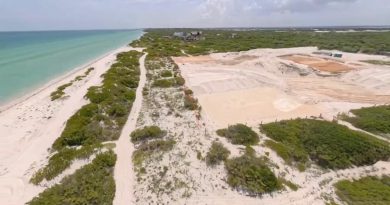 Conceden suspensión definitiva contra el proyecto Dunas de Chuburná
