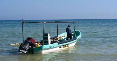 Sin presupuesto suficiente para proteger mares y costas