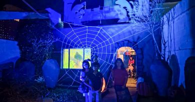 Mérida recibe 22 solicitudes para cerrar calles por festejos de Halloween