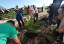 Mérida estrena su primer Bosque Urbano y suma casi 40 mil árboles adoptados