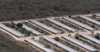 Gobierno asegura que no se han autorizado nuevas granjas porcícolas